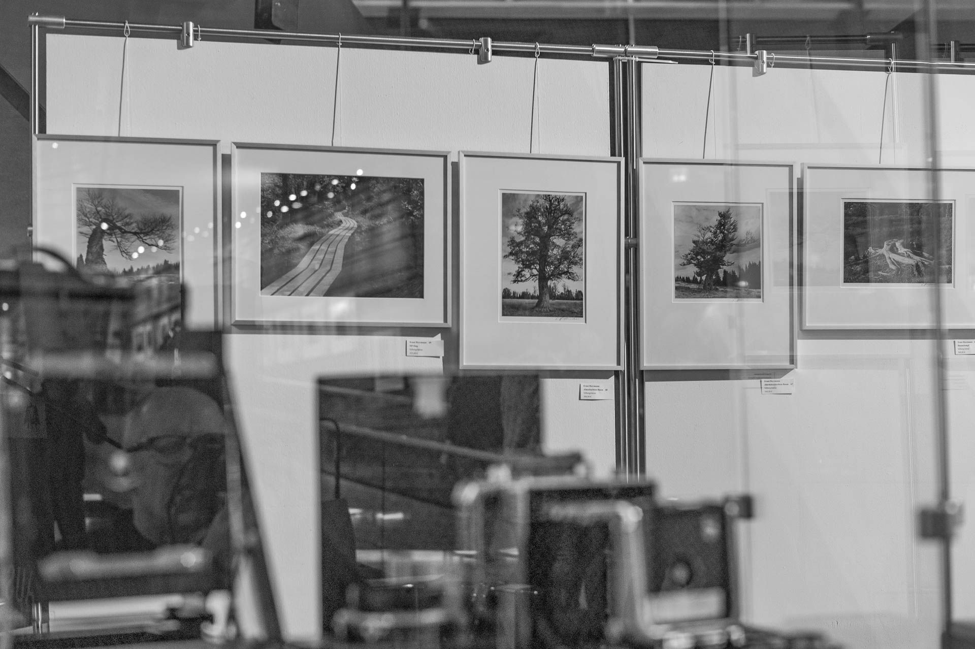 Motive WoidLand hinter der Kameravitrine