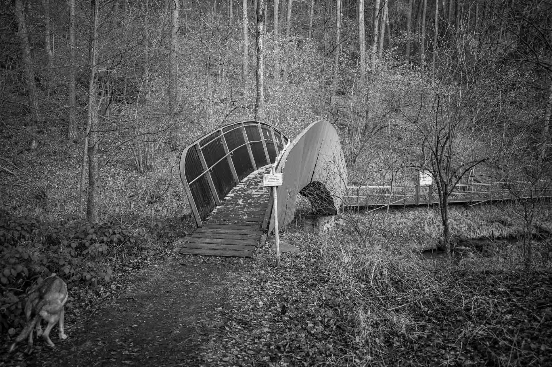 hölzerne Bogenbrücke über den Riedbach, im Vordergrund Hund Bonnie