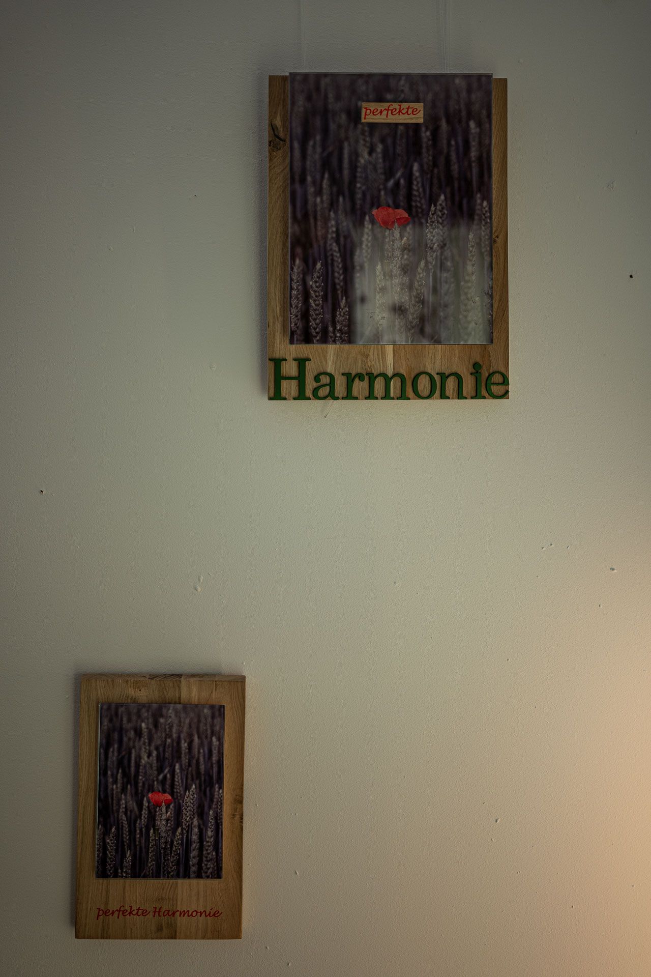 zwei Mohnblumen-Kunstwerke