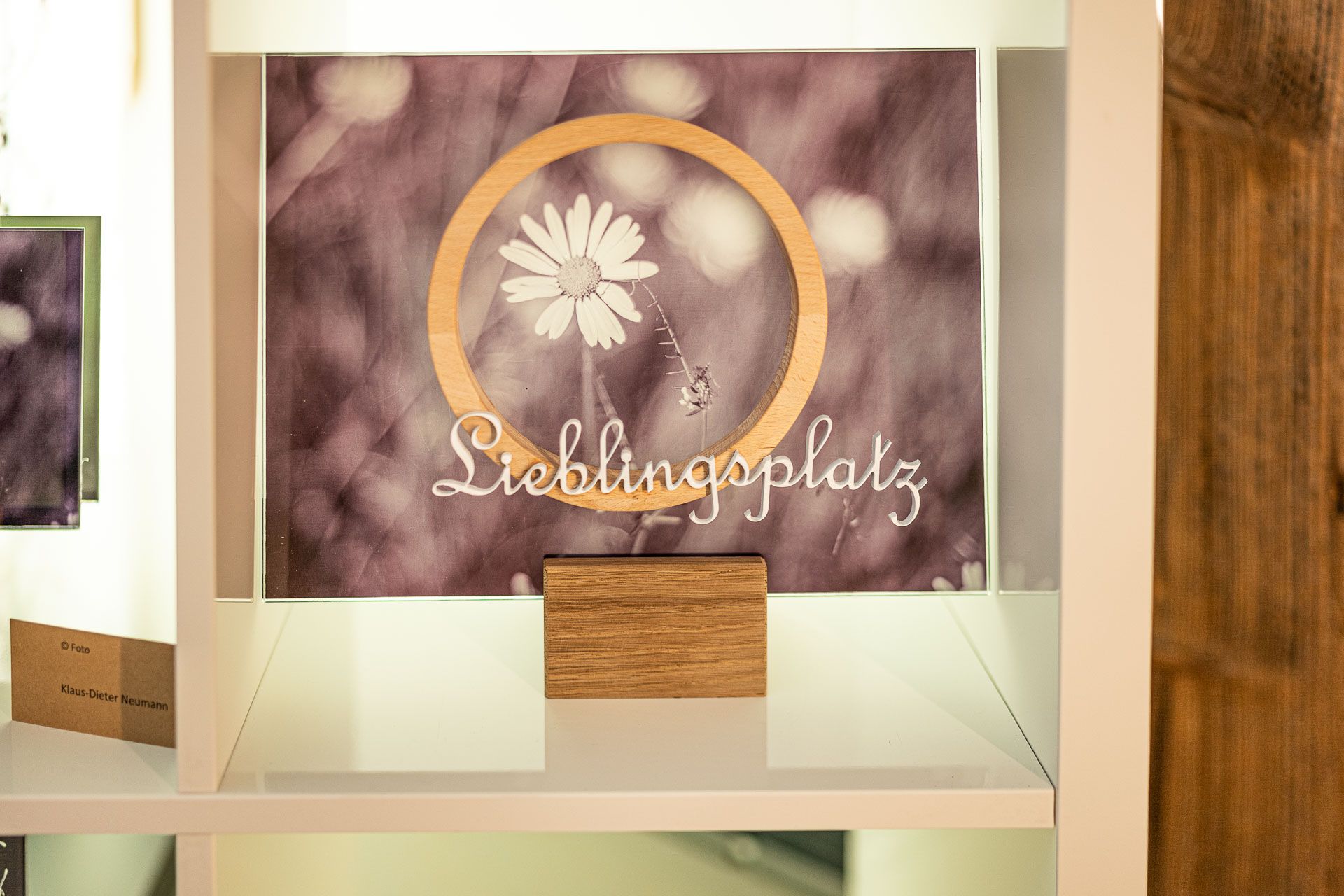 Margerite - Lieblingsplatz